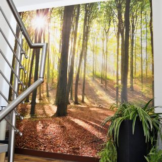 Tapete mit Waldmotiv