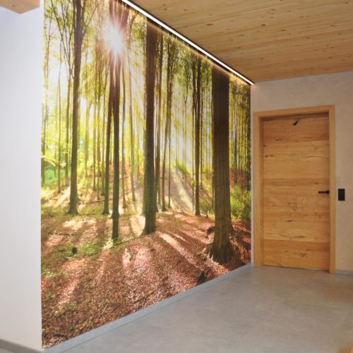 Fototapete mit Waldmotiv