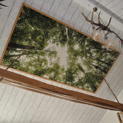 Kreative Deckengestaltung mit Waldmotiv