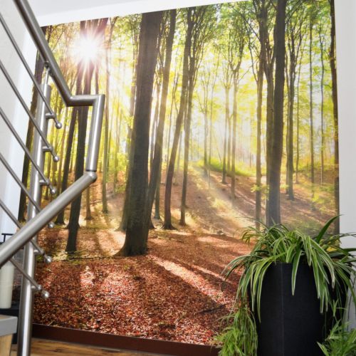 Fototapete einer Waldlandschaft